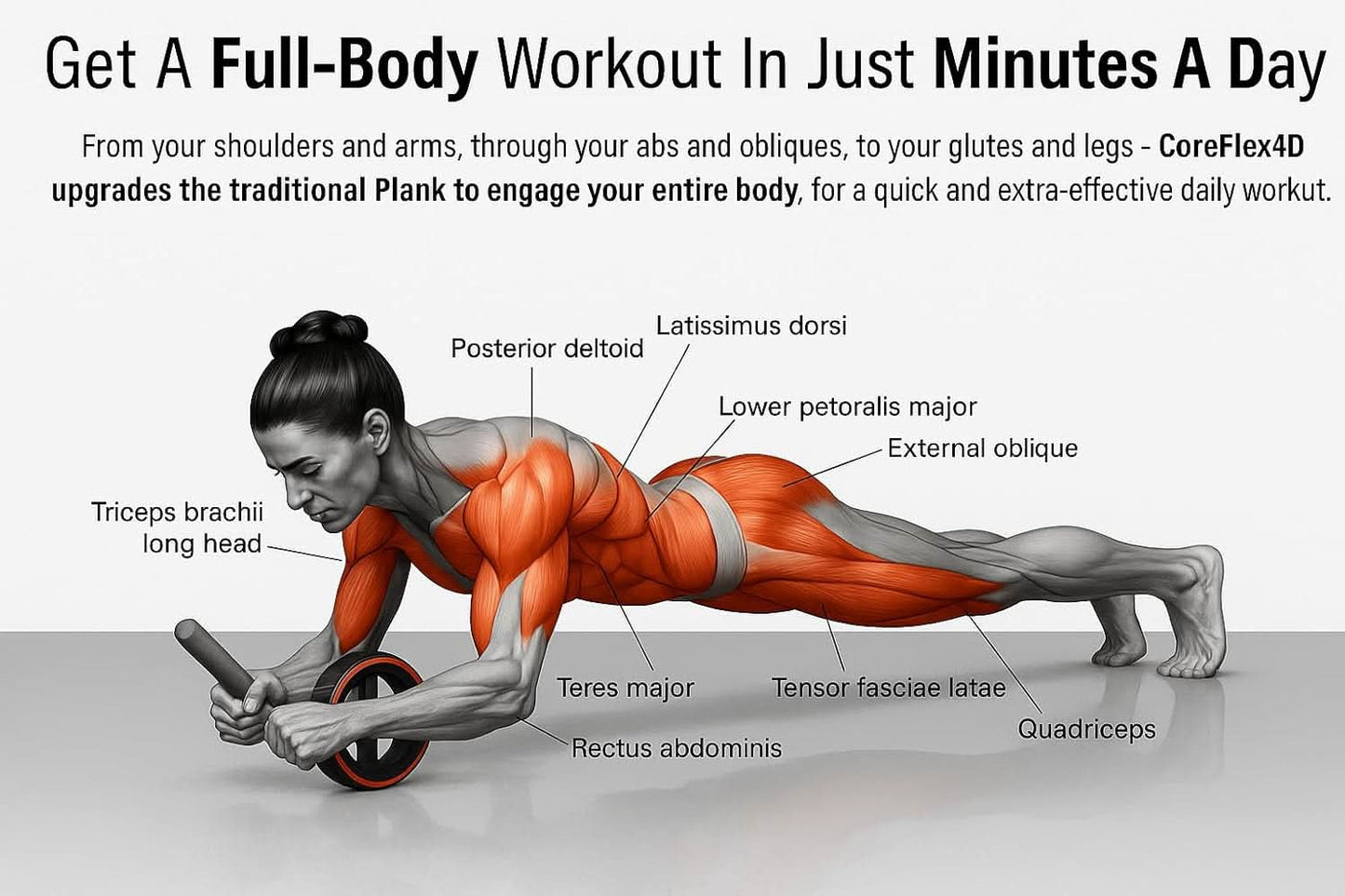 Pro Ab Roller™