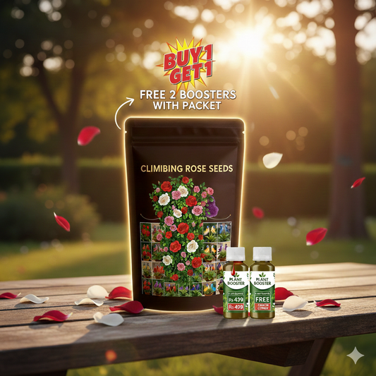 Hybrid Climbing Rose Seeds™ + 2 Plant Boosters (Absolutely Free)