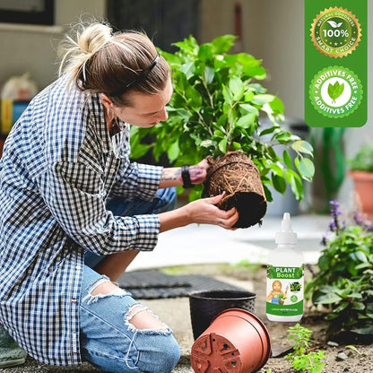 Plant Boosters (Pack of 3) (Get Free Climbing Rose Seeds)